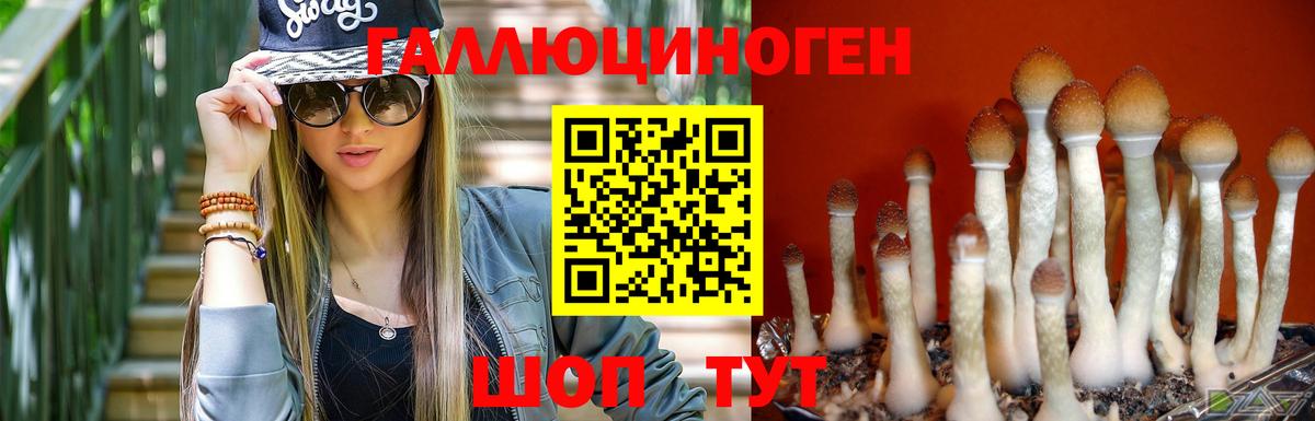 Псилоцибиновые грибы мицелий Волжский